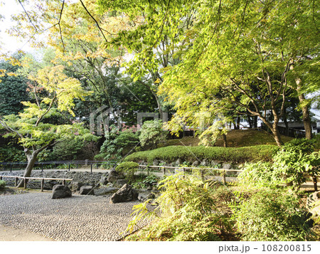 紅葉に彩られた横浜公園 紅葉に彩られた横浜公園 108200815