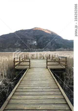a wooden platform a wooden platform 108202066