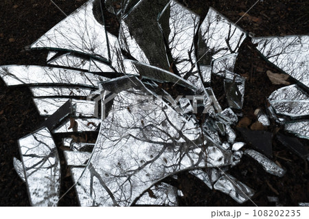 Top view of pile of broken uneven sharp edges of mirror glasses with reflection of fall trees branches with barren leaves and blue sky on street ground in daytime 108202235