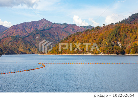 紅葉に染まる山々と奥利根湖 群馬県矢木沢ダム 紅葉に染まる山々と奥利根湖 群馬県矢木沢ダム 108202654