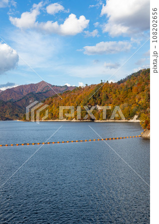 紅葉に染まる山々と奥利根湖 群馬県矢木沢ダム 紅葉に染まる山々と奥利根湖 群馬県矢木沢ダム 108202656