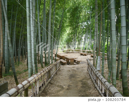 竹林公園（東京の名湧水57選） 108203784