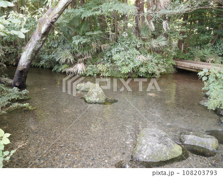 南沢緑地（平成の名水百選） 108203793