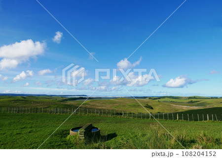 放牧地の風景 108204152