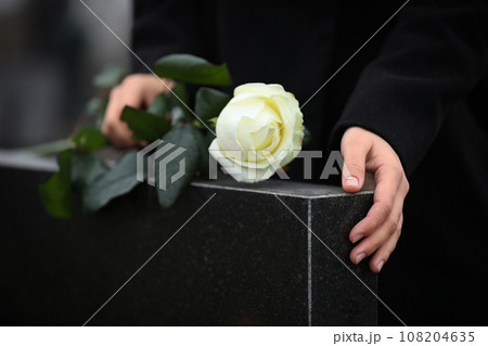 Woman holding white rose near black granite tombstone outdoors, closeup. Funeral ceremony 108204635
