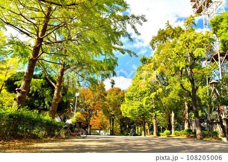 都立 城北中央公園(東京都練馬区)【2023.10】 都立 城北中央公園(東京都練馬区)【2023.10】 108205006