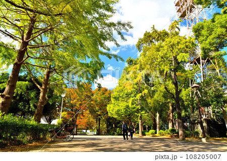 都立 城北中央公園(東京都練馬区)【2023.10】 都立 城北中央公園(東京都練馬区)【2023.10】 108205007
