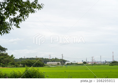 夏の増尾城址総合公園から眺める田園風景 夏の増尾城址総合公園から眺める田園風景 108205011