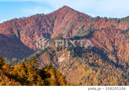 秋の奥利根 カワゴ山の紅葉の写真素材 [108205186] - PIXTA