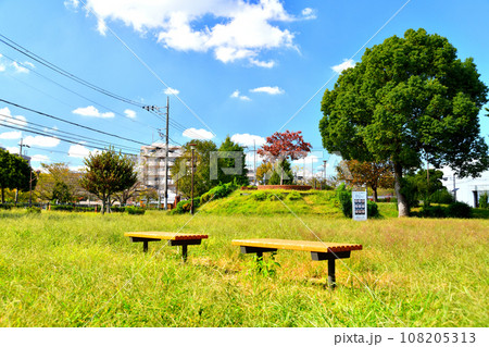 都立 城北中央公園 花の広場(東京都練馬区)【2023.10】 都立 城北中央公園 花の広場(東京都練馬区)【2023.10】 108205313