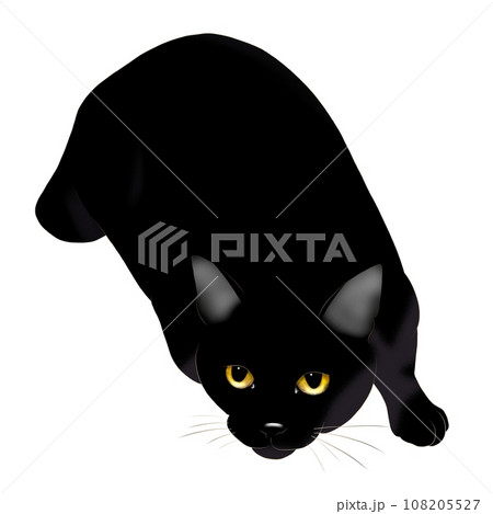 黒猫22のイラスト素材 [108205527] - PIXTA