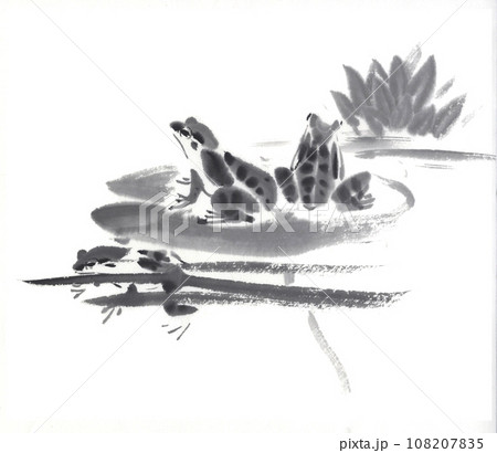 睡蓮の葉の上にいる二匹の蛙 水墨画のイラスト素材 [108207835] - PIXTA