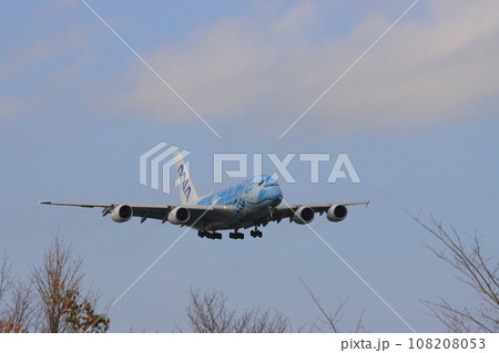 フライングホヌ エアバスA380 フライングホヌ エアバスA380 108208053