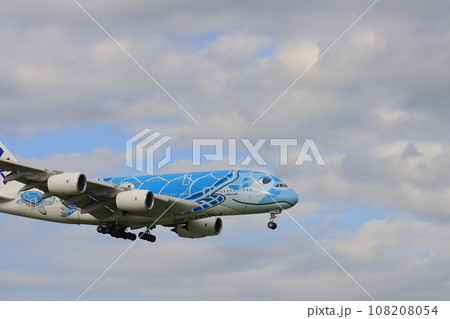 フライングホヌ エアバスA380 フライングホヌ エアバスA380 108208054