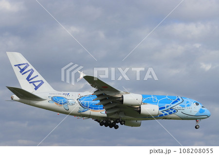 フライングホヌ エアバスA380 フライングホヌ エアバスA380 108208055