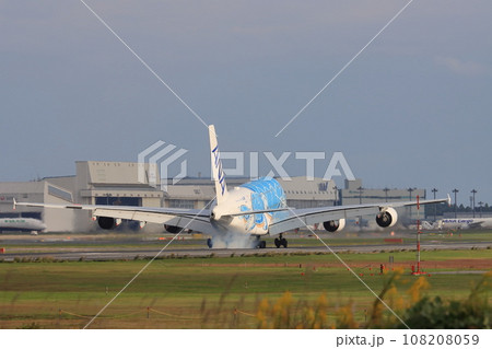フライングホヌ エアバスA380 フライングホヌ エアバスA380 108208059