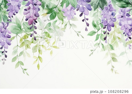 Watercolor wisteria with green leaves, frame on white background with copy space Watercolor wisteria with green leaves, frame on white background with copy space 108208296
