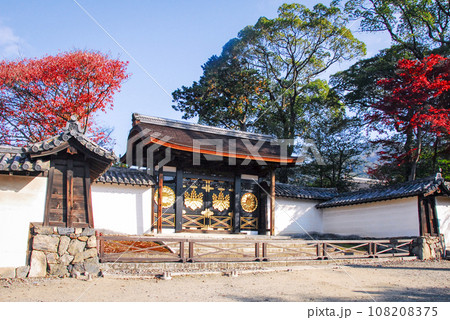 醍醐寺 国宝・三宝院唐門の紅葉(京都市伏見区醍醐) 醍醐寺 国宝・三宝院唐門の紅葉(京都市伏見区醍醐) 108208375