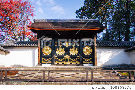 醍醐寺 国宝・三宝院唐門の紅葉(京都市伏見区醍醐) 醍醐寺 国宝・三宝院唐門の紅葉(京都市伏見区醍醐) 108208376
