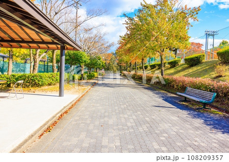 秋のまきがね公園 108209357