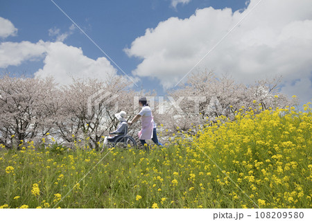さくらの咲く小道を散歩する車いすの二人 さくらの咲く小道を散歩する車いすの二人 108209580