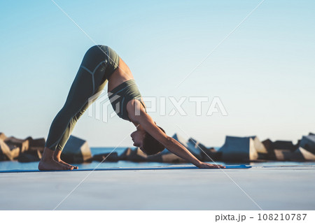 Fit woman doing yoga in downward dog position Fit woman doing yoga in downward dog position 108210787