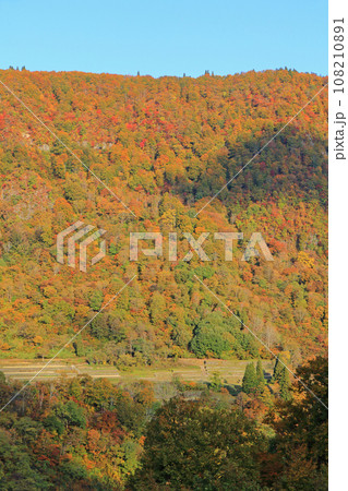 秋山郷の秋　東秋山林道から望む結東の石垣田 108210891