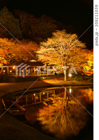 修善寺の紅葉 108211039