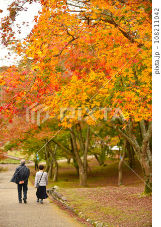 紅葉と老夫婦 108211042