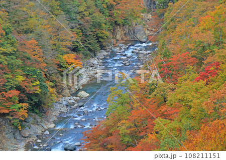 秋山郷の秋 錦秋の中津川渓谷 秋山郷の秋 錦秋の中津川渓谷 108211151