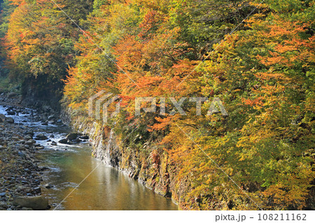 秋山郷の秋　錦秋の中津川渓谷 108211162