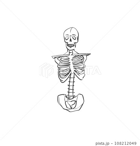 Hand drawn vector abstract graphic line art of Human skeleton line art ,isolated on white background. Vector hand drawn sketch illustration .Halloween human skeleton icon silhouette black . Hand drawn vector abstract graphic line art of Human skeleton line art ,isolated on white background. Vector hand drawn sketch illustration .Halloween human skeleton icon silhouette black . 108212049