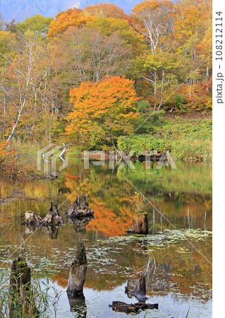 秋山郷 錦秋の天池 秋山郷 錦秋の天池 108212114