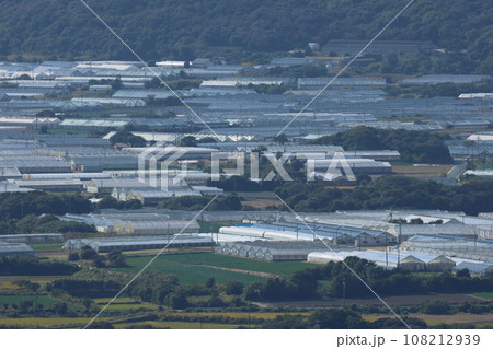 渥美半島電照菊のビニールハウス 108212939