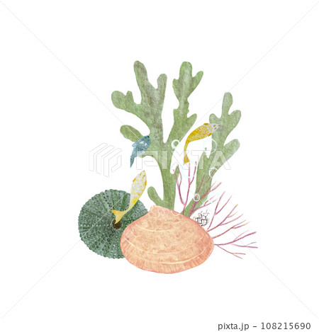 Watercolor composition underwater creatures isolated white 108215690