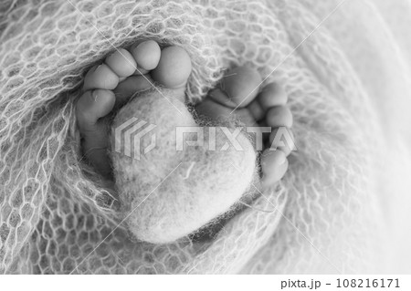The tiny foot of a newborn baby. Soft feet of a new born in a wool blanket. Close up of toes, heels and feet of a newborn. Knitted heart in the legs of baby. Macro photography. Black and white.  108216171
