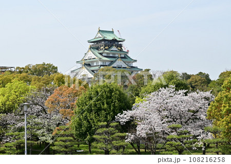 玉造筋方面から見た大阪城とソメイヨシノ 玉造筋方面から見た大阪城とソメイヨシノ 108216258