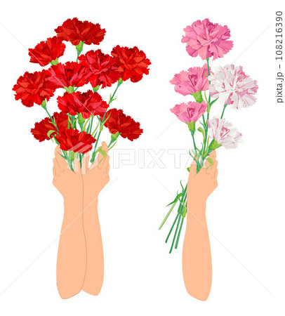 Bouquet of red and pink carnations in hands. Postcard for Mother's Day or Parents' Day. Flowers as a gift to beloved parents as a sign of respect and gratitude. Thank you dear person. Bouquet of red and pink carnations in hands. Postcard for Mother's Day or Parents' Day. Flowers as a gift to beloved parents as a sign of respect and gratitude. Thank you dear person. 108216390