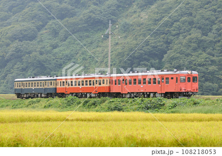 大糸線　小滝ー根知　JR西日本　キハ52-156+キハ52-115+キハ52-125（糸魚川） 108218053