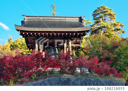 長野県大町市「霊松寺（れいしょうじ）」の紅葉グラデーション 108218055