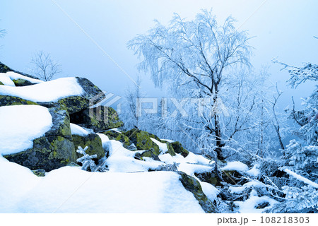 Beautiful winter landscape in the mountains. Snowy mountains and trees. A lonely tree on the mountain is covered with snow. 108218303