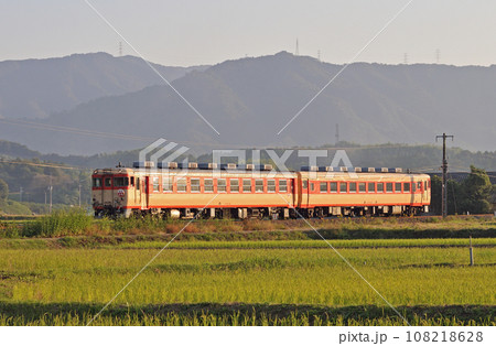 JR四国 キハ65-34+キハ58-293 リバイバル 急行 土佐 JR四国 キハ65-34+キハ58-293 リバイバル 急行 土佐 108218628