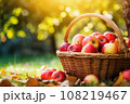 Apples and leaves in a basket in the garden, Generative AI. 108219467