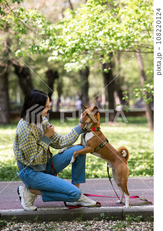 A young woman walks with an African basenji dog on a leash in the park. 108220124