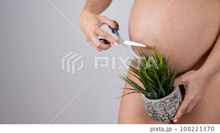 A faceless pregnant woman cuts a plant with scissors. Metaphor for epilation of the bikini area. A faceless pregnant woman cuts a plant with scissors. Metaphor for epilation of the bikini area. 108221370