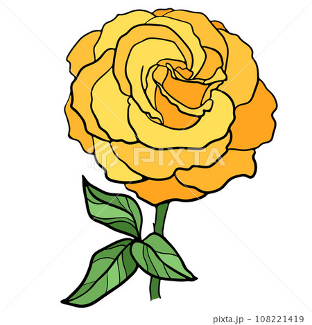 Vector Illustration of Rose Flower 108221419