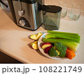 Juicer with plate of fresh vegetables 108221749