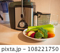 Juicer with plate of fresh vegetables 108221750