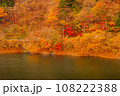 奥多摩湖の秋風景2022 108222388