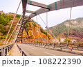 奥多摩湖の秋風景2022 108222390